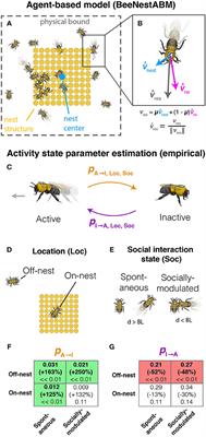 Social Buffering of Pesticides in <mark class="highlighted">Bumblebees</mark>: Agent-Based Modeling of the Effects of Colony Size and Neonicotinoid Exposure on Behavior Within Nests